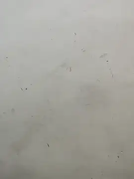 Sania-Love's cam snapshot