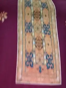 Payel-Sen's cam snapshot