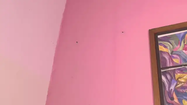 Pammela_Smith's cam snapshot