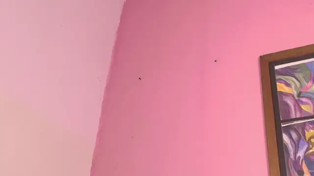 Pammela_Smith's cam snapshot