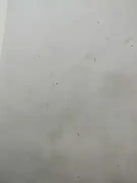 Sania-Love live sex cam