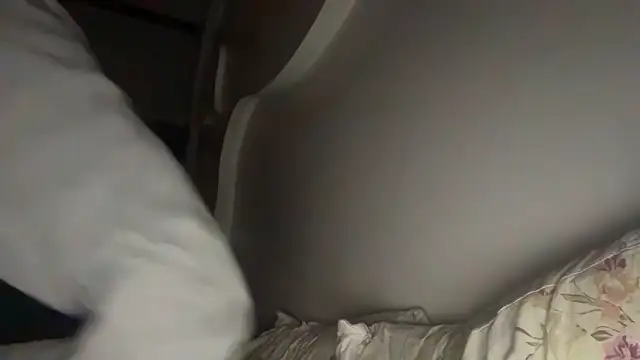 belrevee's cam snapshot