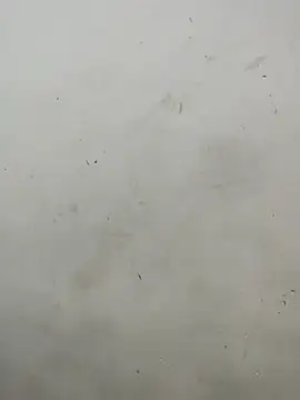 Sania-Love's cam snapshot