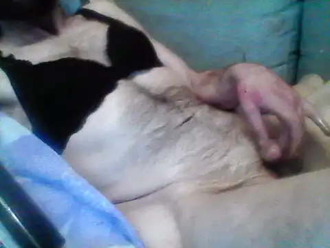 Andre35w's cam snapshot