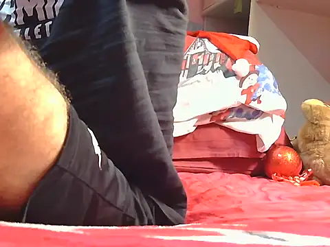 Pintiliescu's cam snapshot