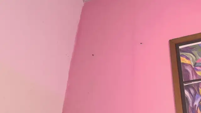 Pammela_Smith's cam snapshot