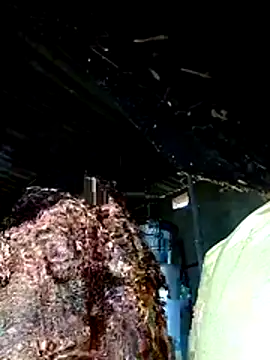 Rs_sonam's cam snapshot