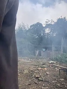 Pii_x's cam snapshot