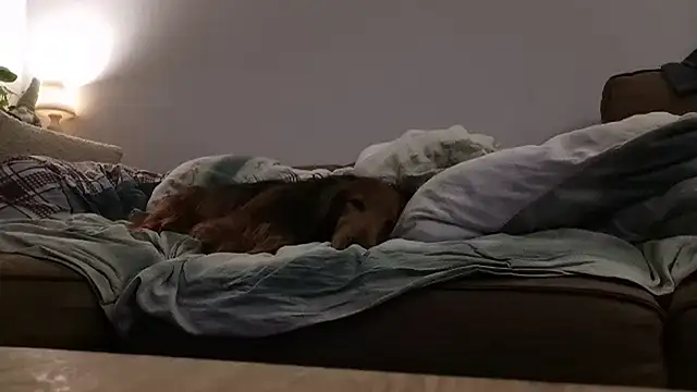 jokke1975 live sex cam