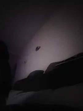 Donostiipar's cam snapshot