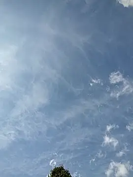 tulipsexy's cam snapshot