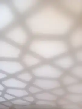 bullut06 live sex cam