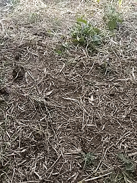 Khusbu77A's cam snapshot