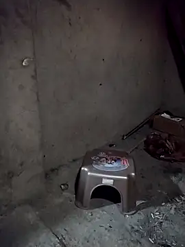 mumu661's cam snapshot