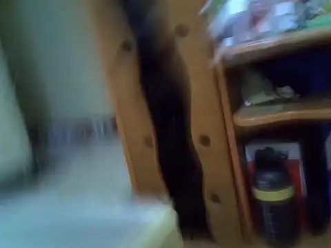 LaylowLee live sex cam