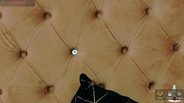 CoraVex's cam snapshot