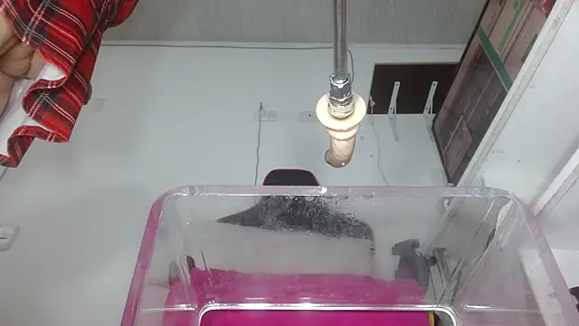 sammyEvans__ live sex cam