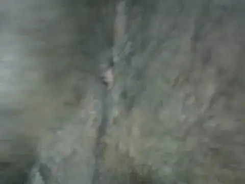 michel_sc live sex cam