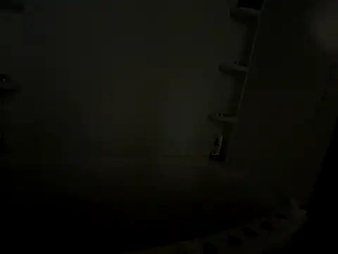 cumitted live sex cam