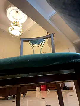 petoys's cam snapshot