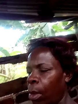 stable_23's cam snapshot