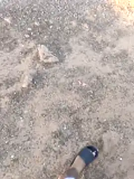 DickMasterfindom's cam snapshot