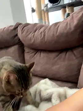 anita_gigi's cam snapshot