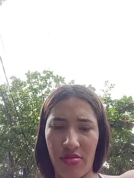 -Nicol's cam snapshot