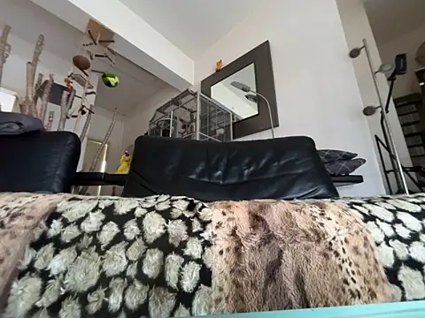 Germankink's cam snapshot