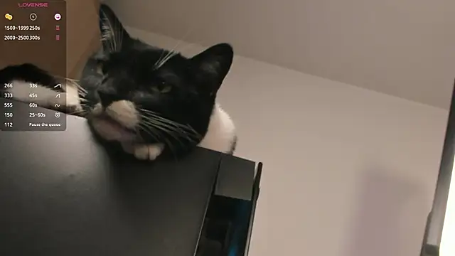 ariana_fitl_ live sex cam