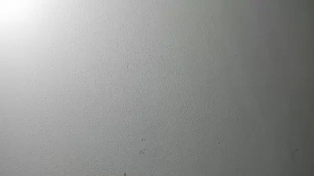 JackSwan18 live sex cam