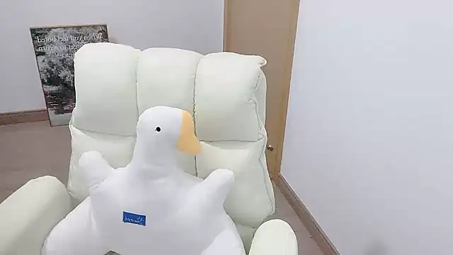 Fan-3's cam snapshot