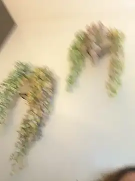 valeria2019hot live sex cam