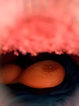 Eddy_ki_maa_ki-choot's cam snapshot