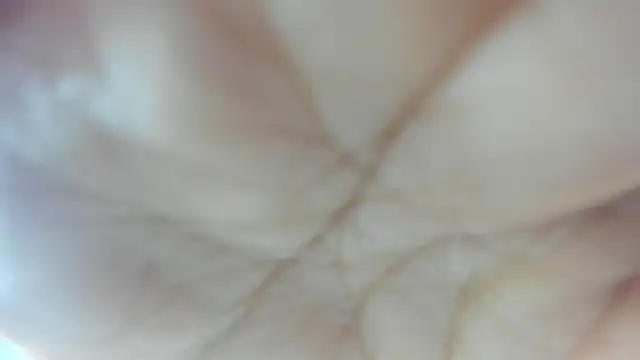 Mindy_19 live sex cam