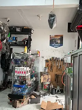 Paul22cm- live sex cam