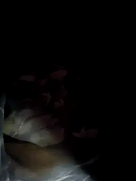 Jan_643's cam snapshot