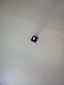 Rosabela04's cam snapshot