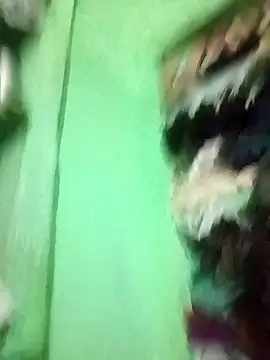 ASHA-78's cam snapshot