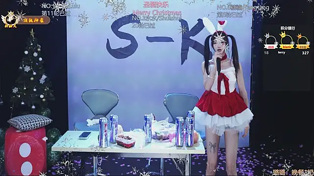 SK-001's cam snapshot