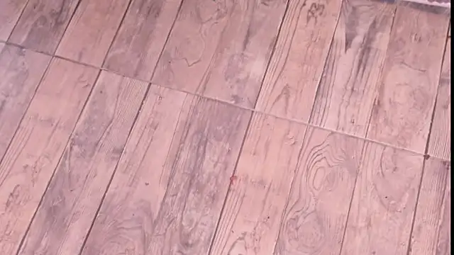 ZYZZ1312 live sex cam