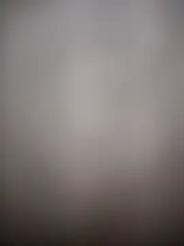 Totopaira's cam snapshot