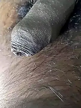 jellydicks's cam snapshot