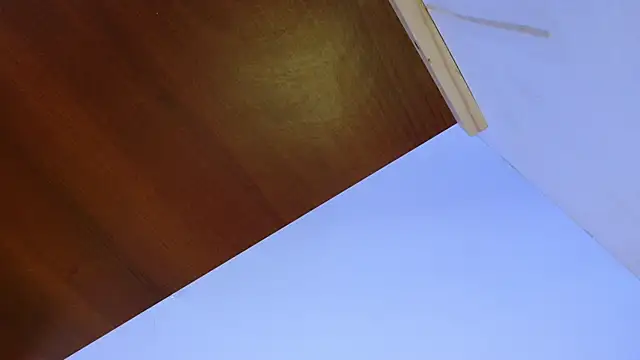 David_and_Jonas live sex cam