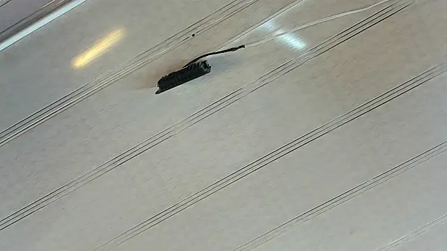 Katty_mouth's cam snapshot