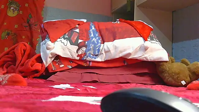 Pintiliescu's cam snapshot