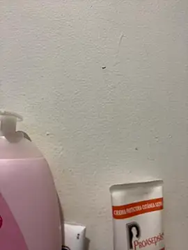 Carola-Ross's cam snapshot