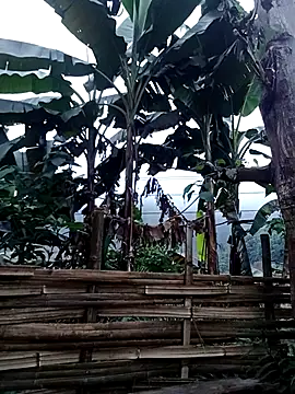 bella-la's cam snapshot