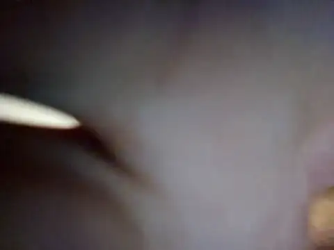 d1ckend's cam snapshot