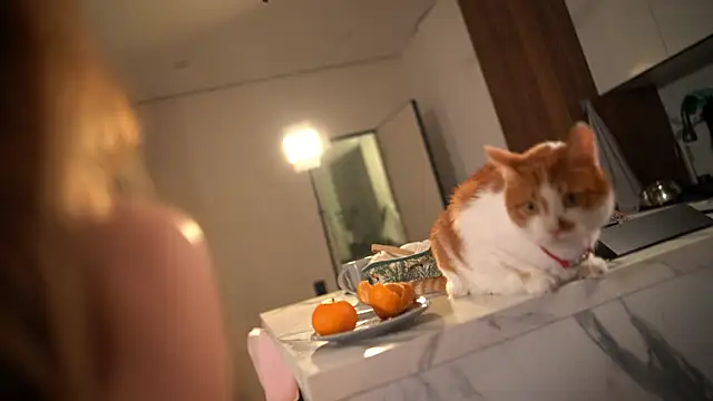 Tokyo_N live sex cam